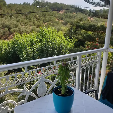 Aktipis 1 Αργάσι